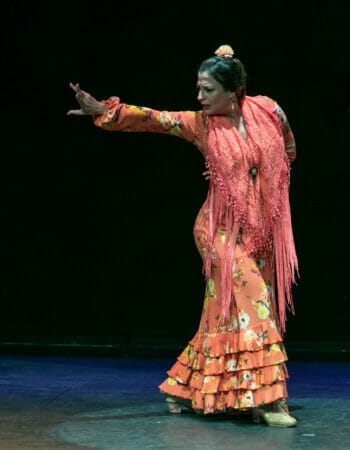 Ballet Flamenco La Rosa
